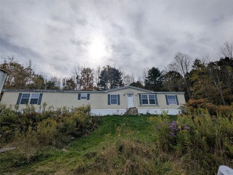 Homes For Sale - 446 Conklin Road<br/> Chenango Forks, NY 13746