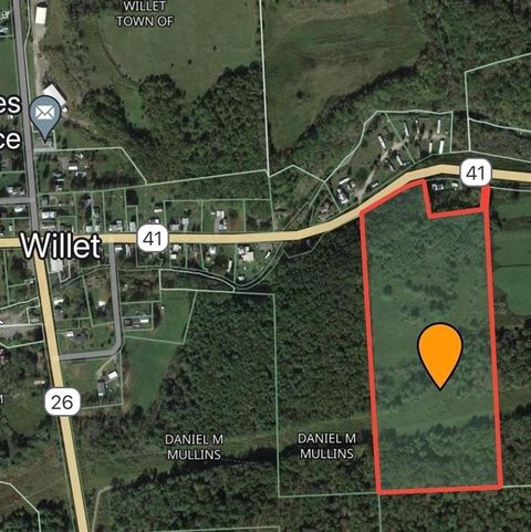 Vacant Land For Sale - Route 41<br/> Willet, NY 13863