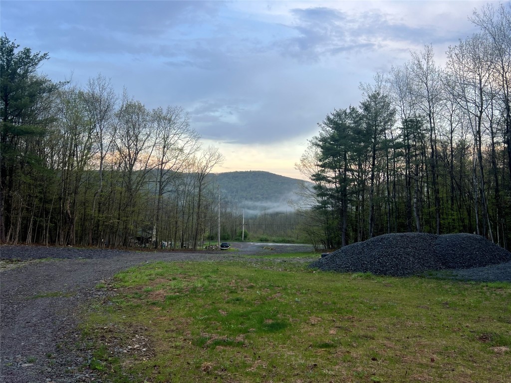 289 Stannard Road, Windsor, New York image 1