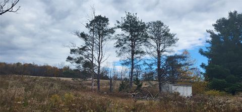 Vacant Land For Sale - 288 Lewis Street<br/> Endicott, NY 13760