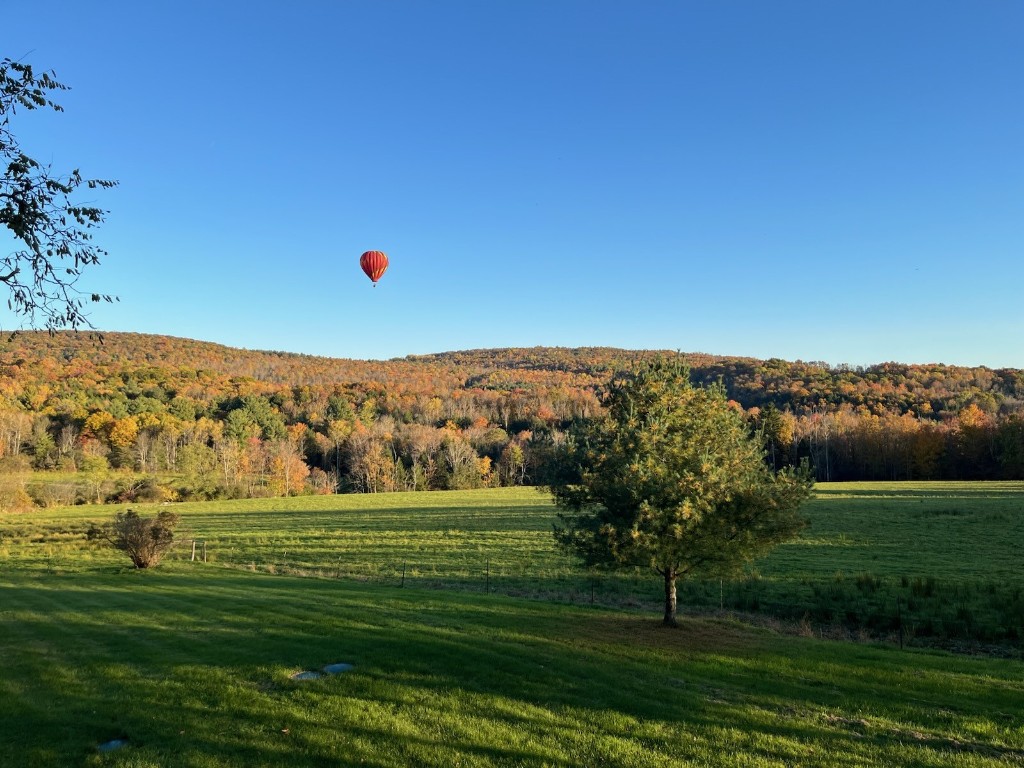 2275 Bolles Hill Road, Apalachin, New York image 4