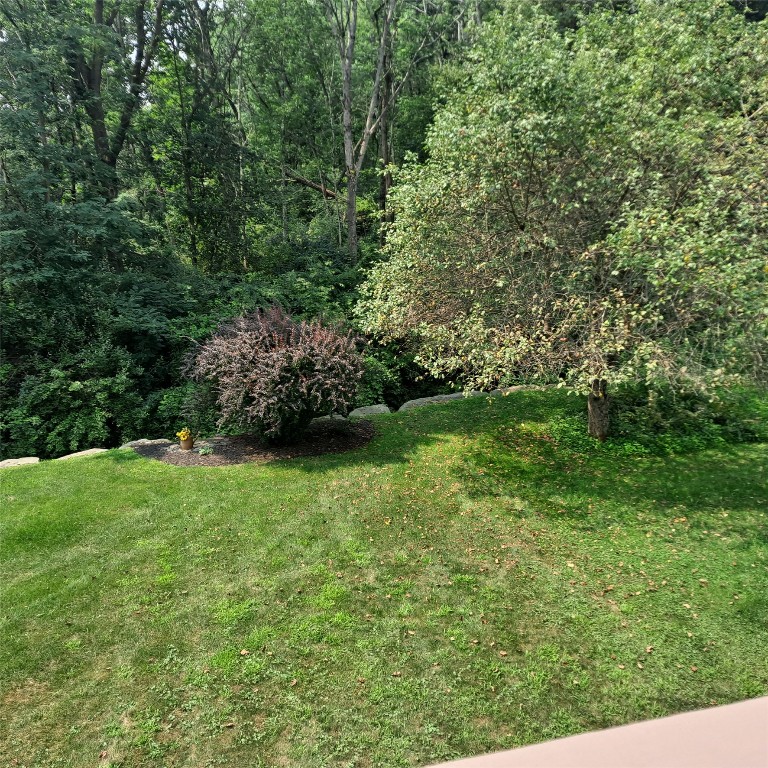 315 Western Heights Blvd