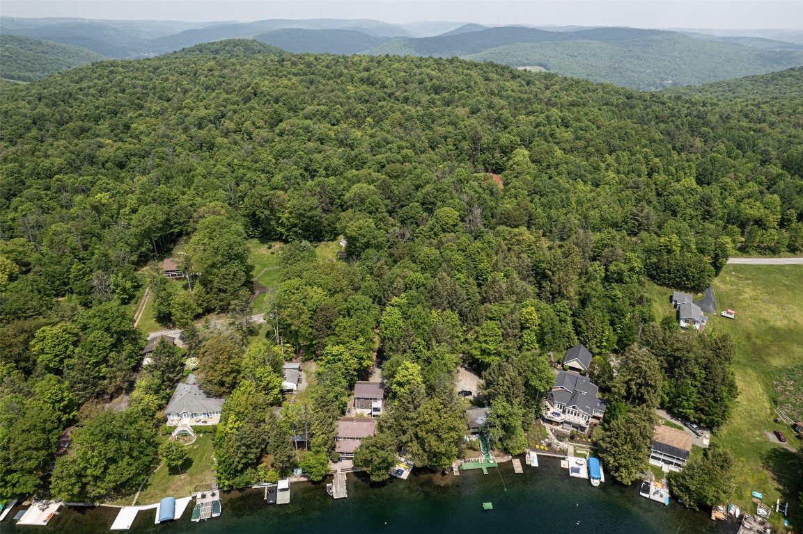 95 & 96 Hanson Road, Deposit, New York image 6