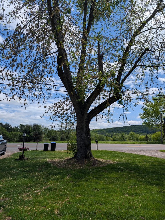 1959 State Route 12, Binghamton, New York image 34