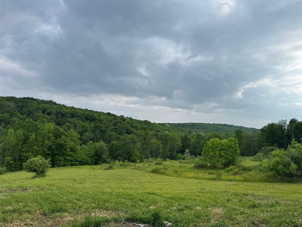 1432 Newark Valley-maine Road, Newark Valley, New York image 5
