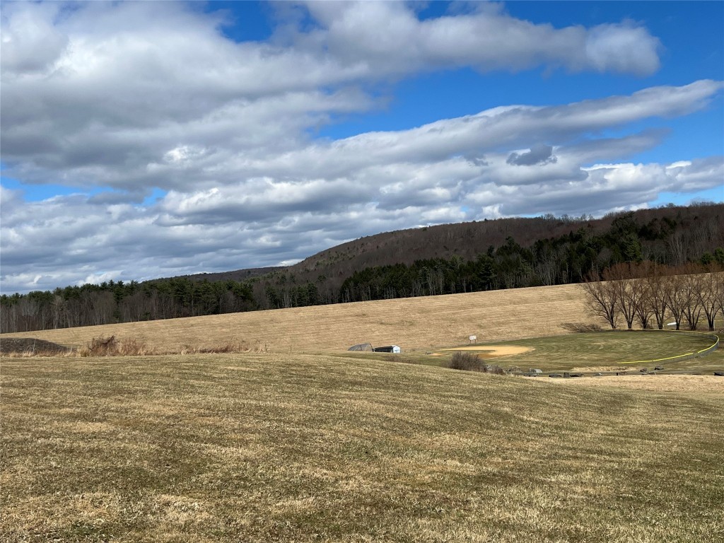1108 Farm To Market Road, Endicott, New York image 8
