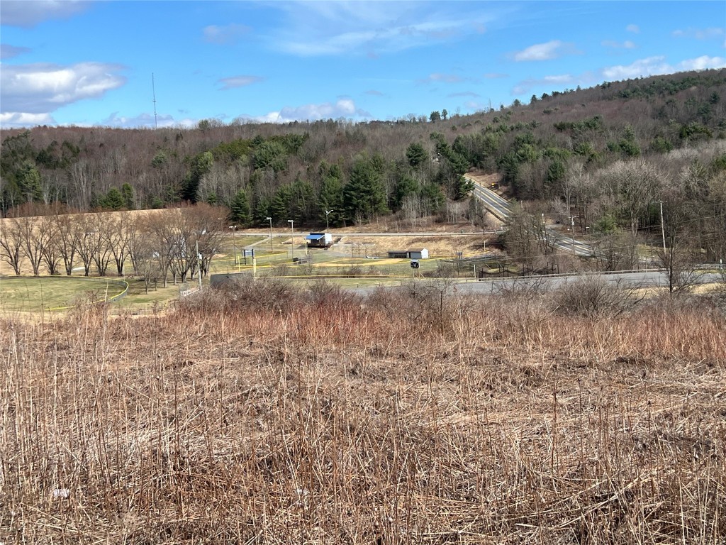 1108 Farm To Market Road, Endicott, New York image 14