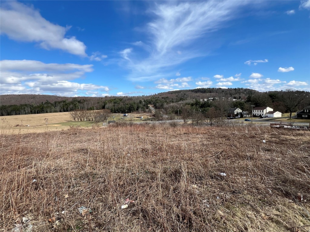 1108 Farm To Market Road, Endicott, New York image 3