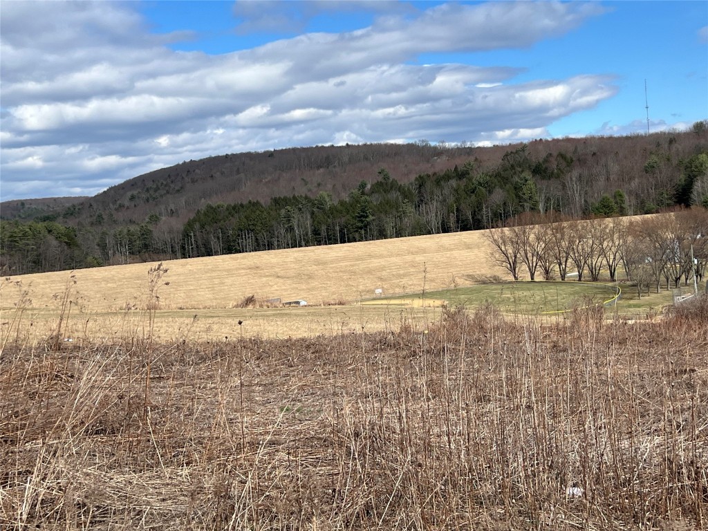1108 Farm To Market Road, Endicott, New York image 15