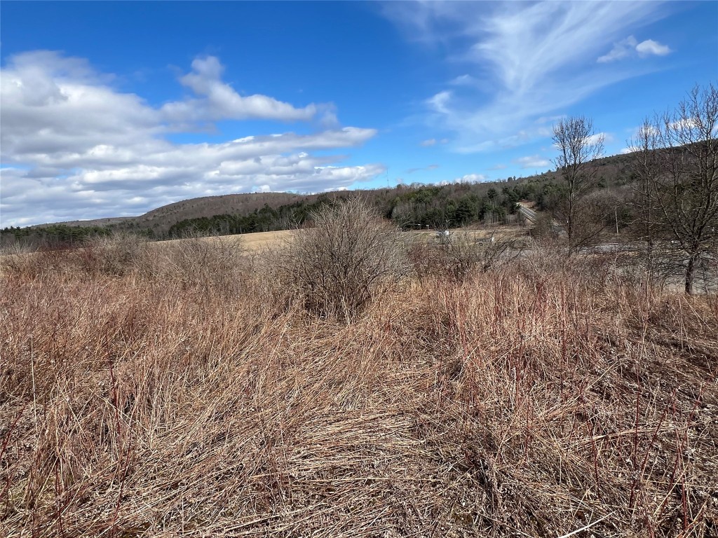 1108 Farm To Market Road, Endicott, New York image 12