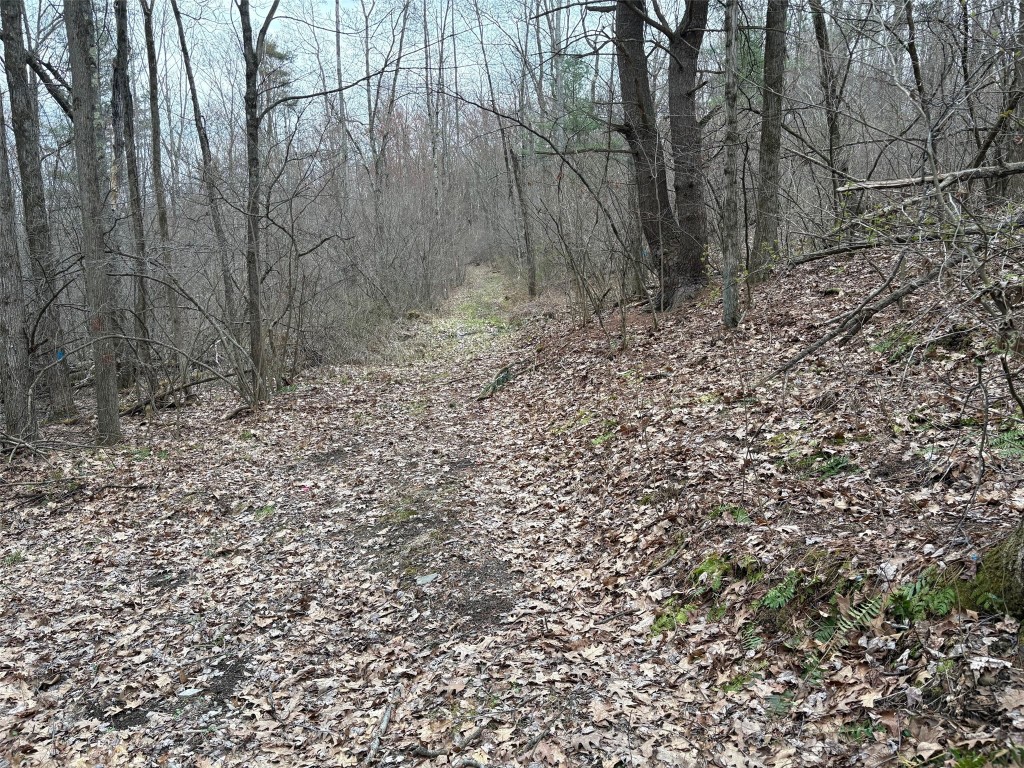 Forest Hill, Apalachin, New York image 7