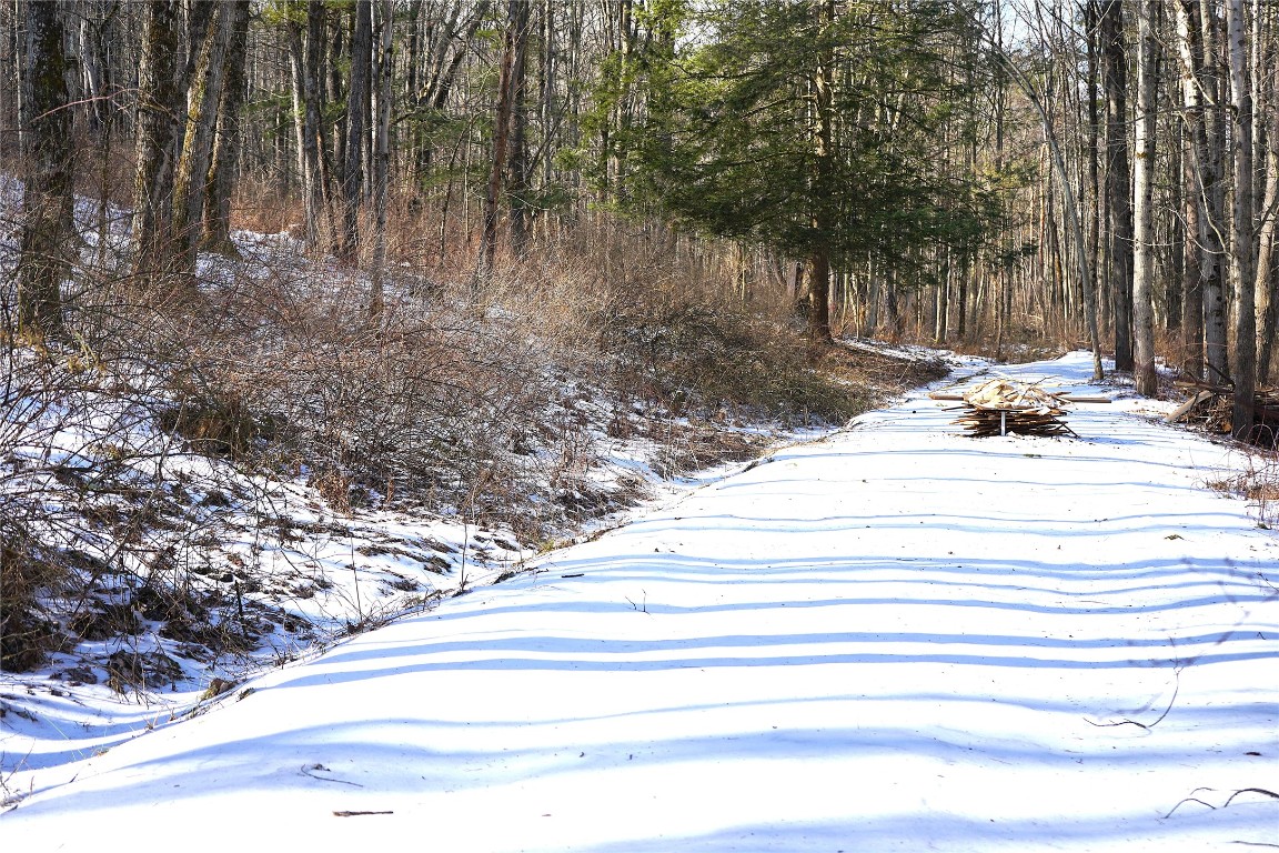 Forest Hill, Apalachin, New York image 4