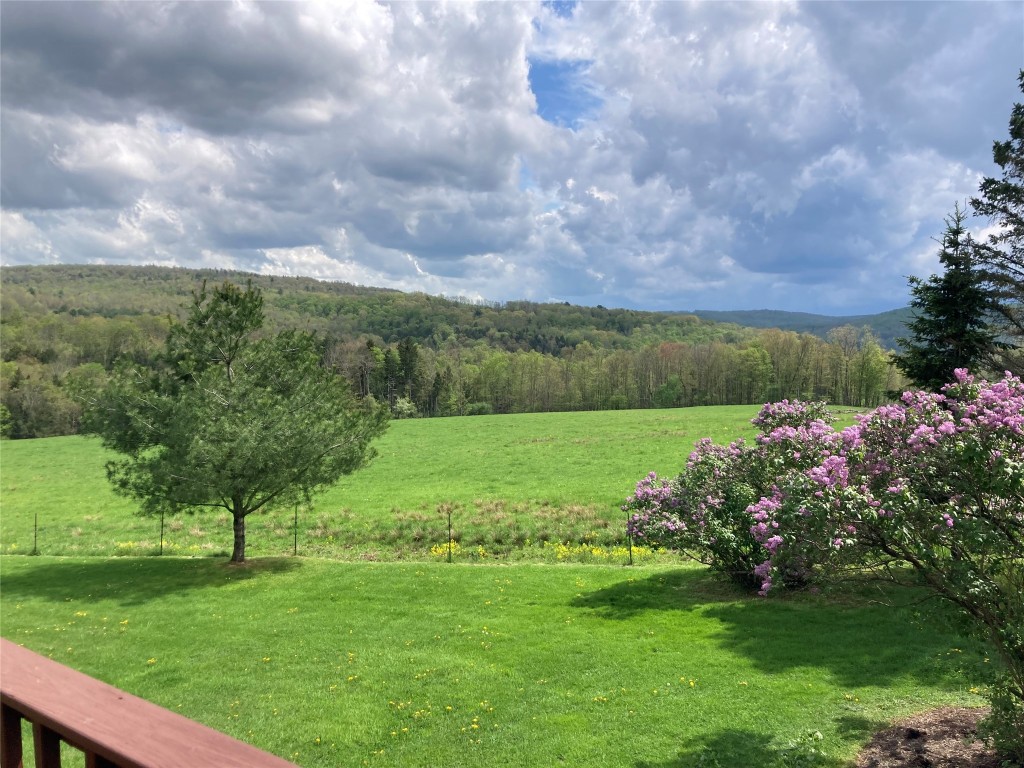 2275 Bolles Hill Rd, Apalachin, New York image 47