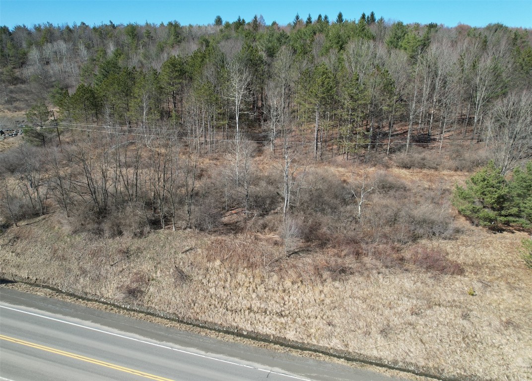 605 Fox Farm Road, Windsor, New York image 4
