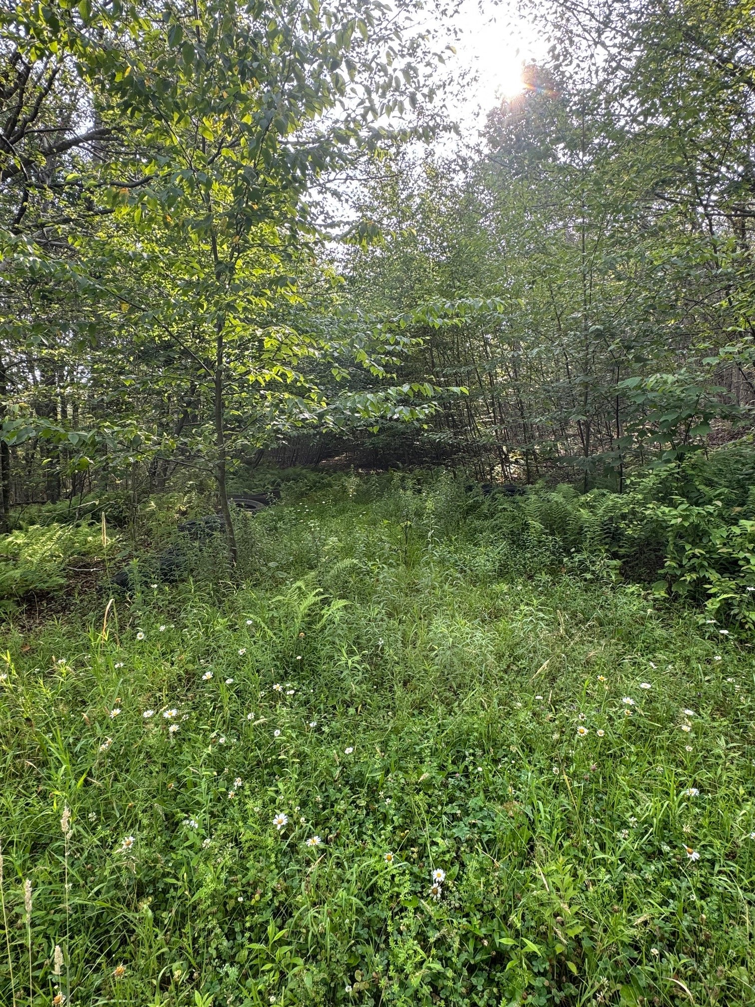 Photo 1 of 7 — 264 E Bosket Road, Windsor, NY 13865