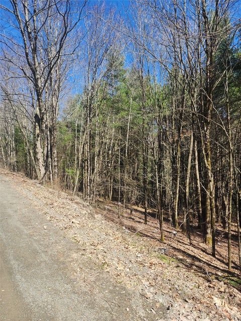 Vacant Land For Sale - 114 & 234 Tarbell Hill Road<br/> Deposit, NY 13754
