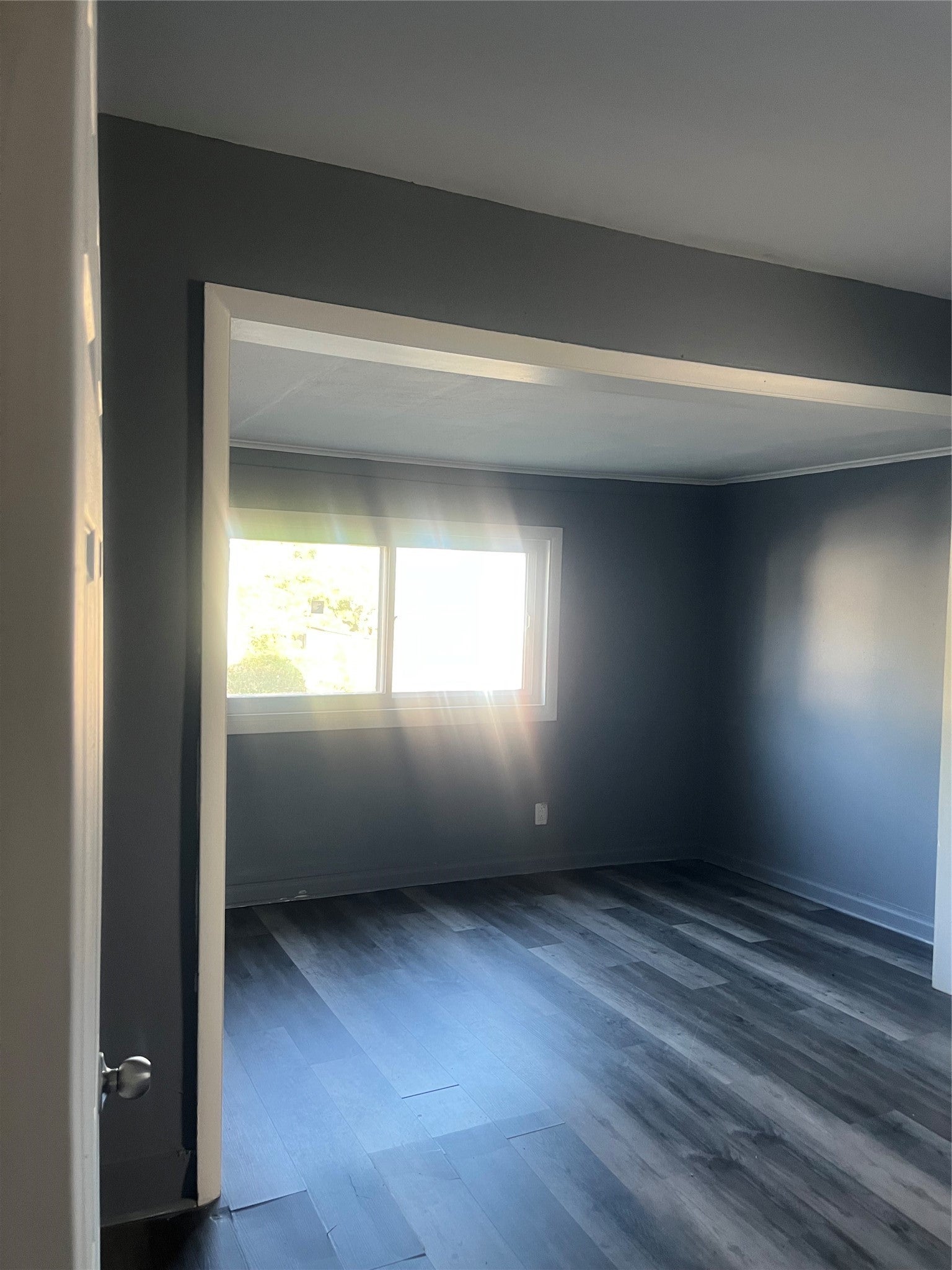 315 Hill Ave - Photo 3