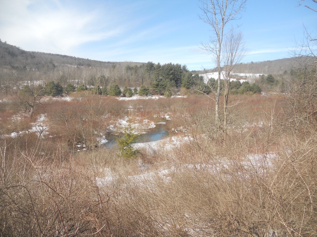 00 Prospect Road, Candor, New York image 1
