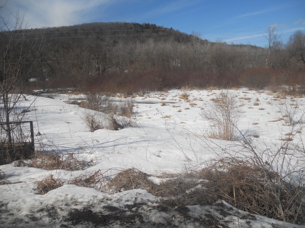 00 Prospect Road, Candor, New York image 10