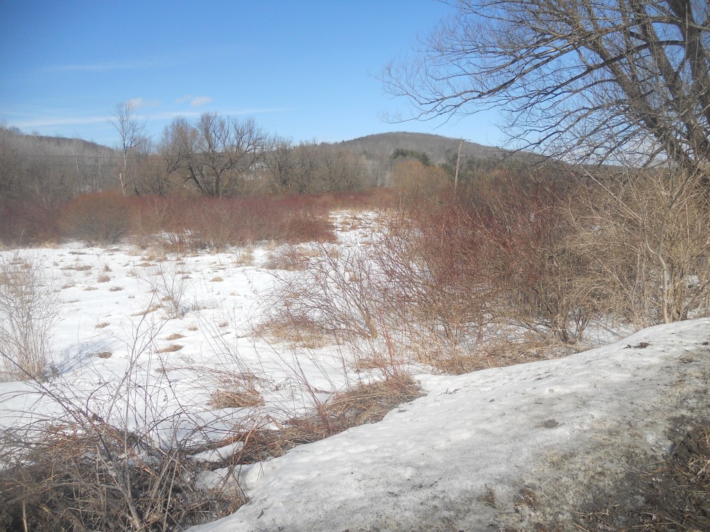 00 Prospect Road, Candor, New York image 7