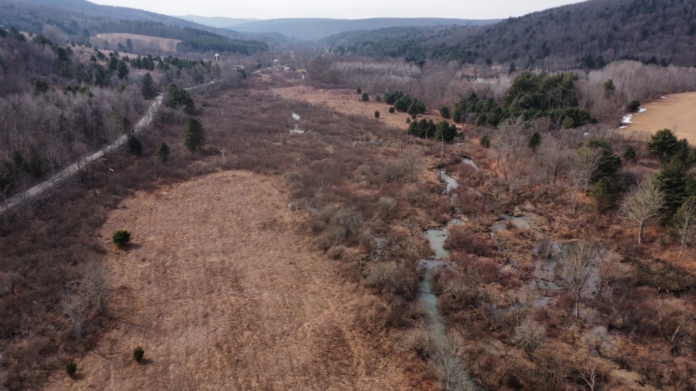 00 Prospect Road, Candor, New York image 31