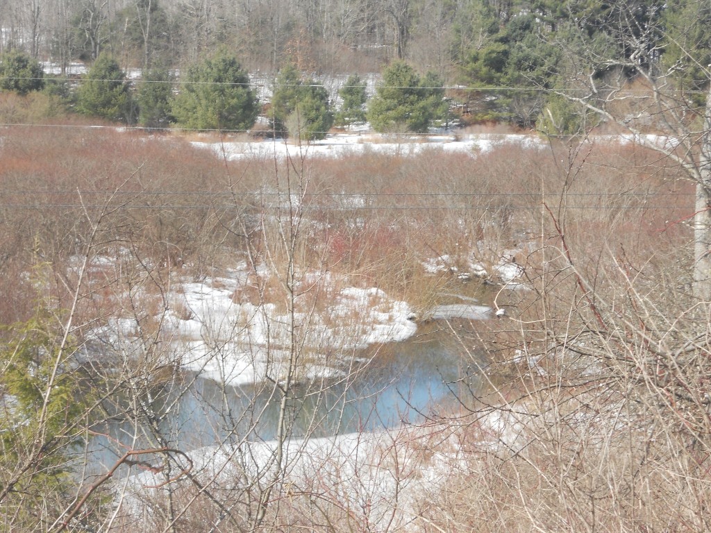 00 Prospect Road, Candor, New York image 15