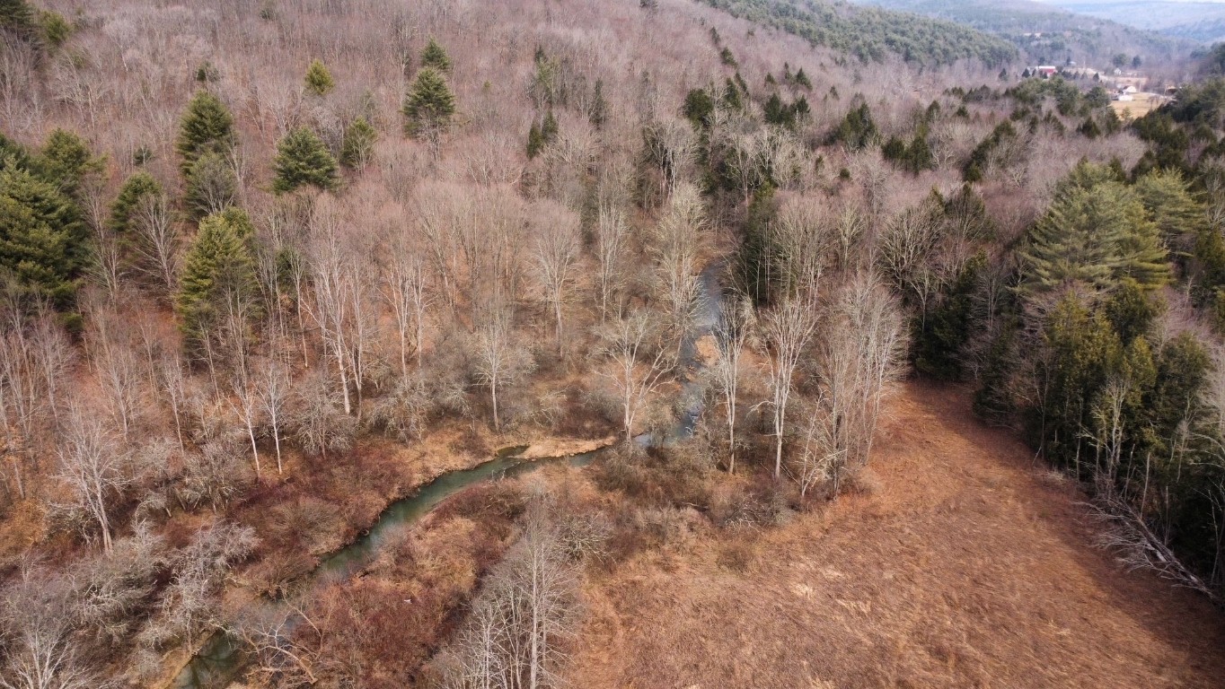 00 Prospect Road, Candor, New York image 14