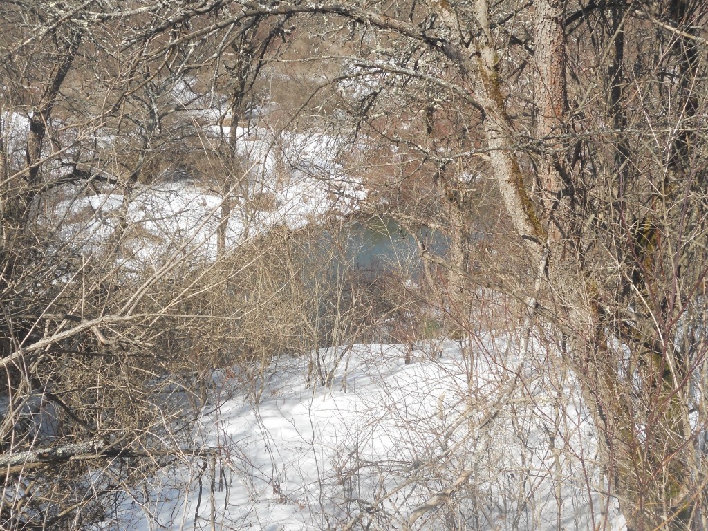 00 Prospect Road, Candor, New York image 16