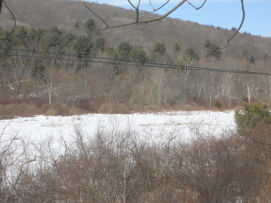 00 Prospect Road, Candor, New York image 12