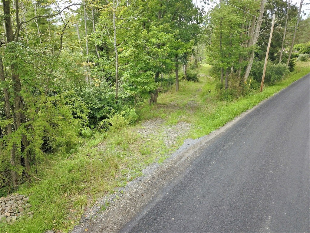 246 Grippen Hill Rd, VESTAL, New York image 3