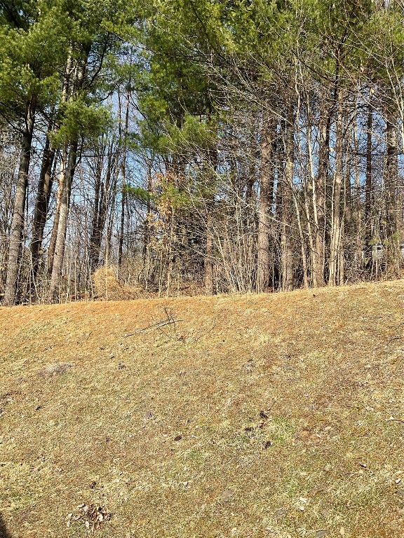 26 Hillside Drive, Kirkwood, New York image 3