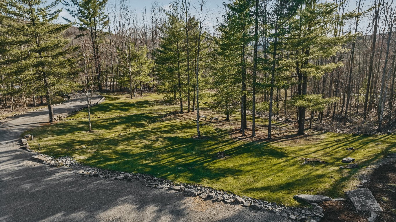 339 Foster Road, Vestal, New York image 47