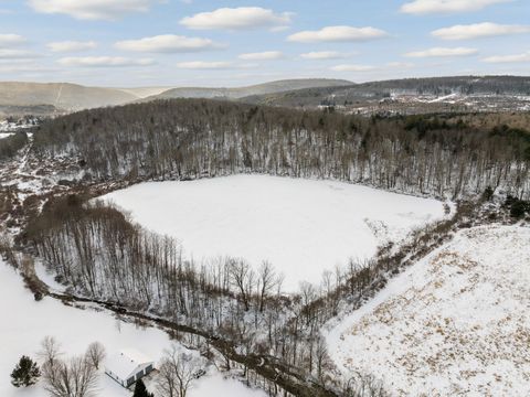 Vacant Land For Sale - County Road 19<br/> Deposit, NY 13754