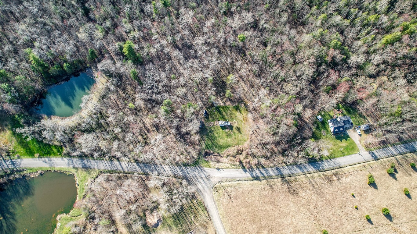 1167 Sibley Rd, Owego, New York image 15