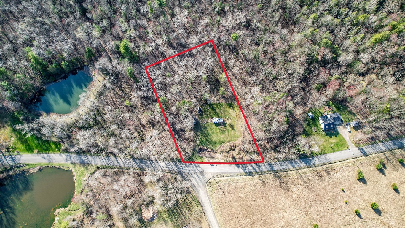 1167 Sibley Rd, Owego, New York image 14