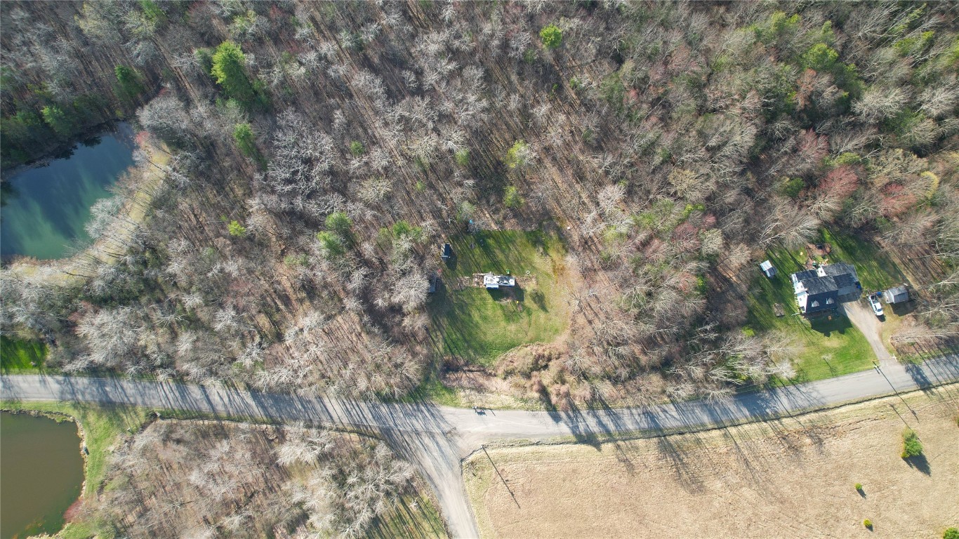 1167 Sibley Rd, Owego, New York image 18