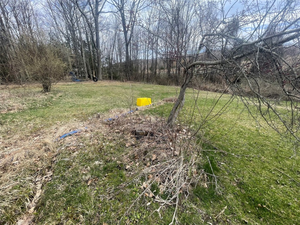 1167 Sibley Rd, Owego, New York image 9