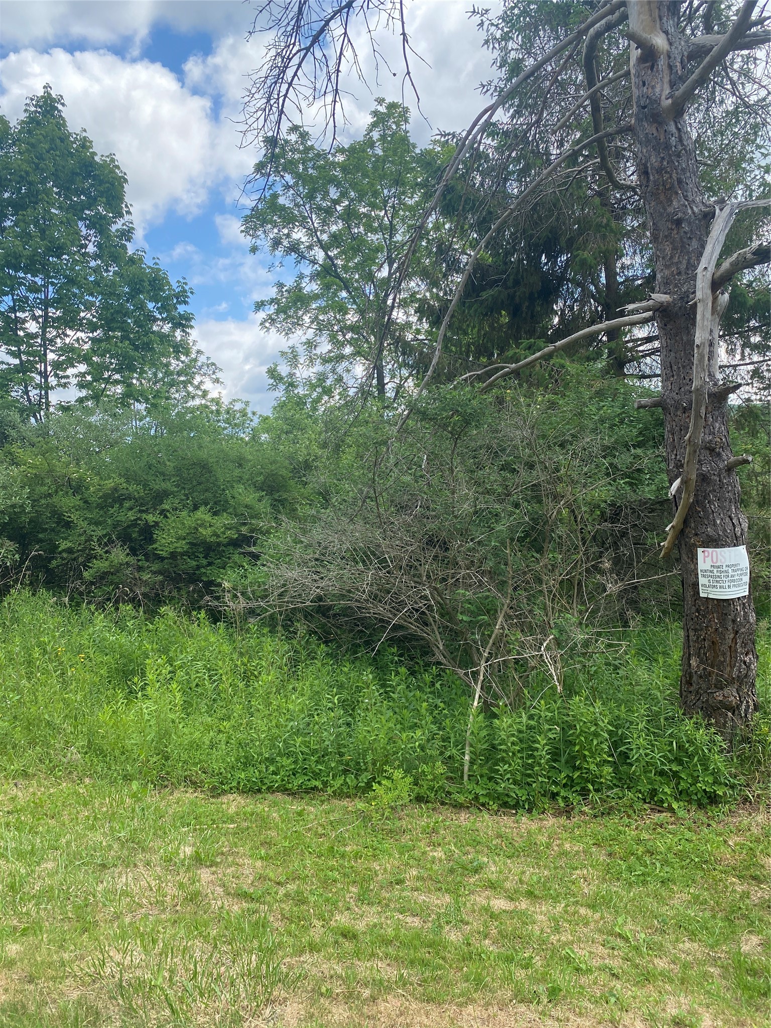 144 Brown Road