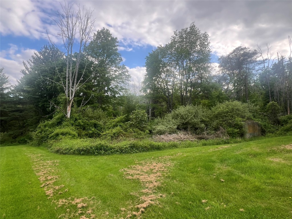 268 Ransom Road, Binghamton, New York image 3