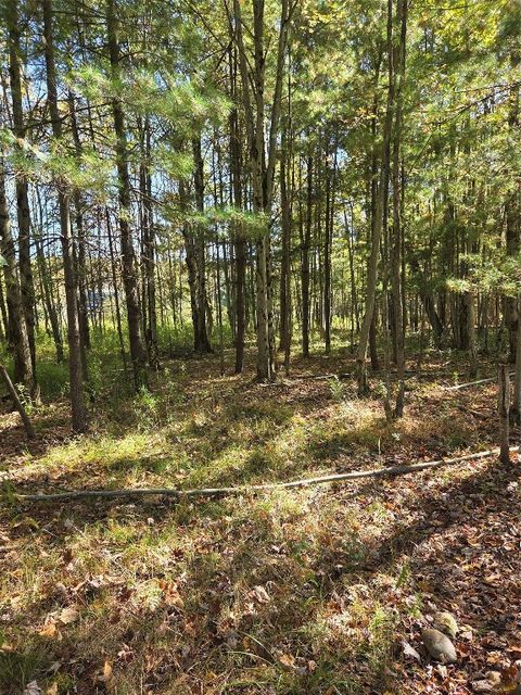 32 Andrews Road Vestal NY 13850