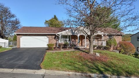 568 Leon Dr Endicott NY 13760