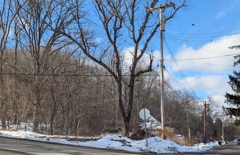 Vacant Land For Sale - 91 Grant Road<br/> Binghamton, NY 13901
