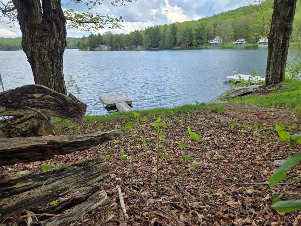 118 Milton Lane, Warren Center, Pennsylvania image 34