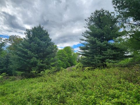 Vacant Land For Sale - Race Road<br/> Greene, NY 13778
