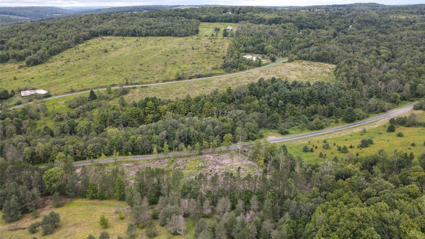 73 Pendell Hill Rd Rd, Whitney Point, New York image 9