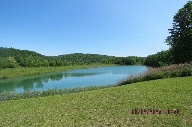 177 Old Barton Road, Barton, New York image 4