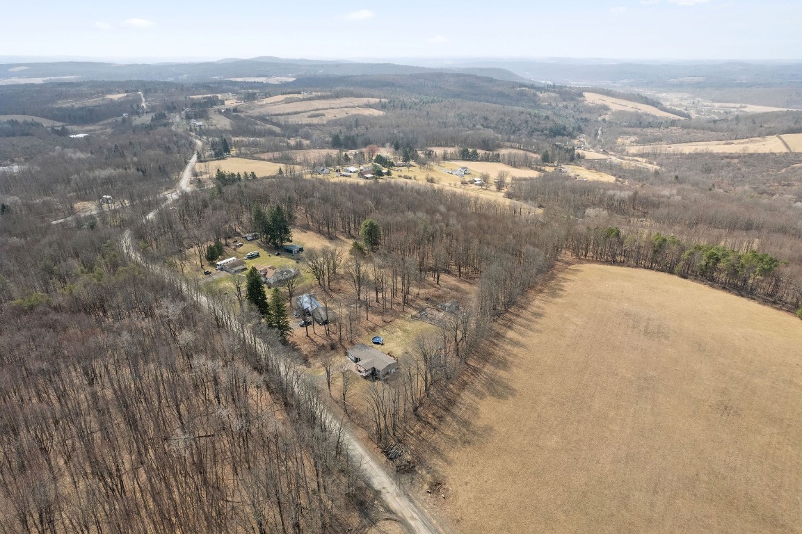 6743 Lisle Road, Owego, New York image 28