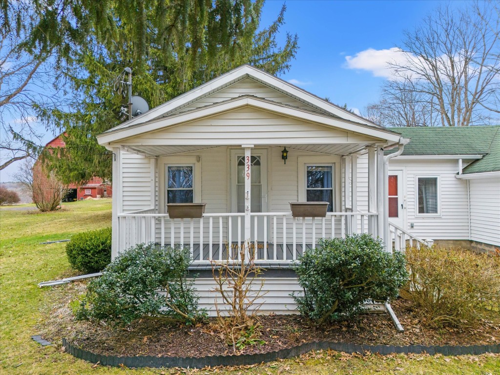 339 Port Road, Binghamton, New York image 23