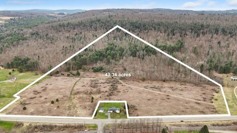 Vacant Land For Sale - 4134 State Route 38<br/> Owego, NY 13827