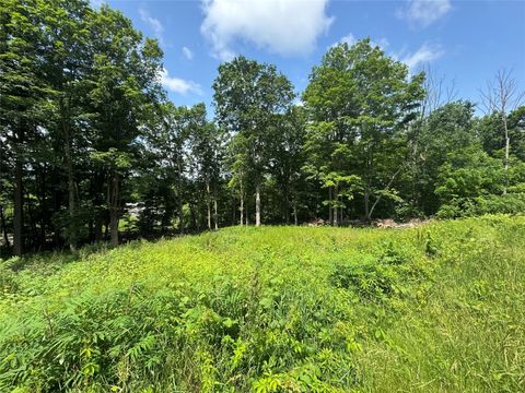 Vacant Land For Sale - 1944 Us Route 11<br/> Kirkwood, NY 13795